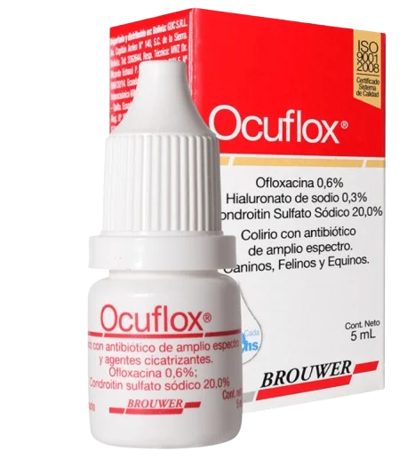 Ocuflox Eye Drops Treat Bacterial Eye Infections