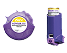Generic Advair